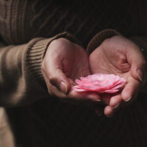 hands holding pink flower